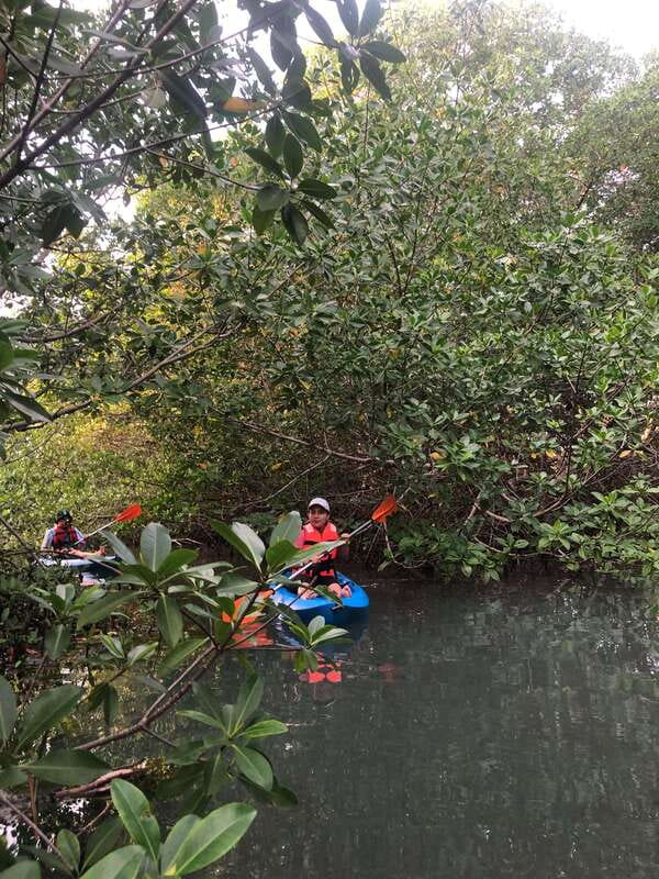 Kayak Tour in Cancun with Photos included - Photos, equipment, and what the $45 covers