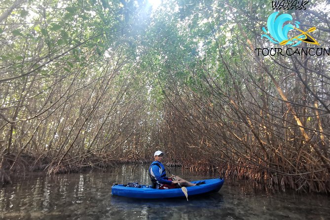 Kayak TOUR POR Laguna Nichupte Cancun - What you might see among the mangrove roots