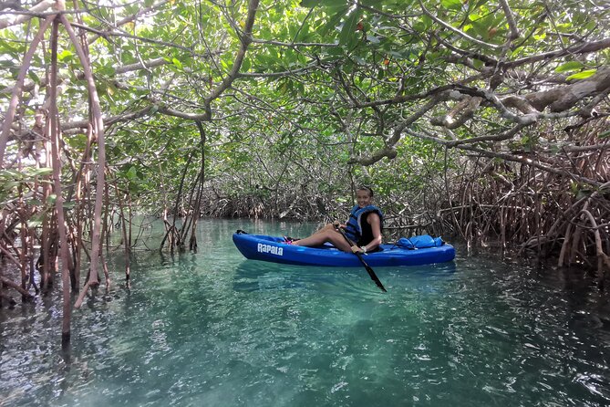 Kayak TOUR POR Laguna Nichupte Cancun - Is $38 a good value?