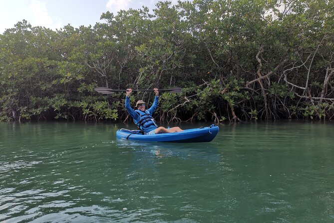 Kayak TOUR POR Laguna Nichupte Cancun - Morning or late afternoon?