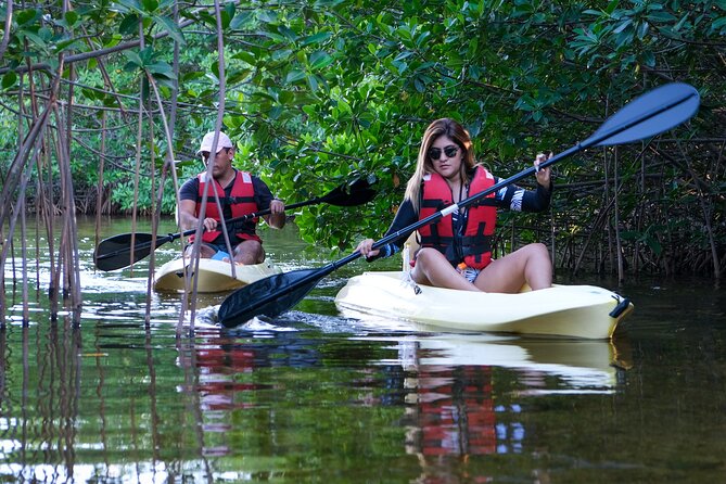 Kayaking Tour in Cancun - Why Nichupté Lagoon is worth your time