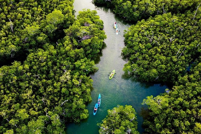 Kayaking Tour in Cancun - Sunrise calm or sunset color