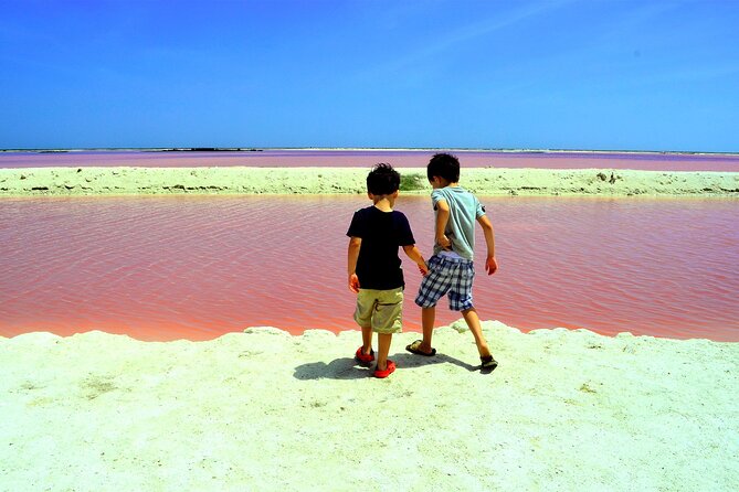 Las Coloradas and Rio Lagartos Tour with All Inclusive - Key points to know before booking