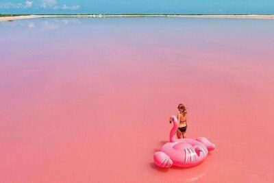 Las Coloradas and Rio Lagartos Tour with All Inclusive