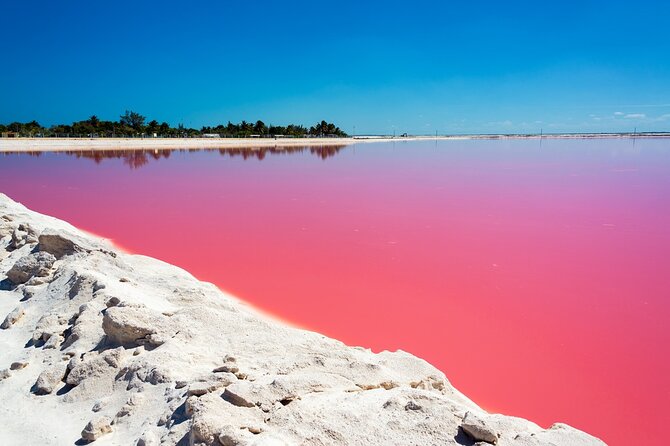 Las Coloradas and Rio Lagartos Tour with All Inclusive - Guide quality and language expectations