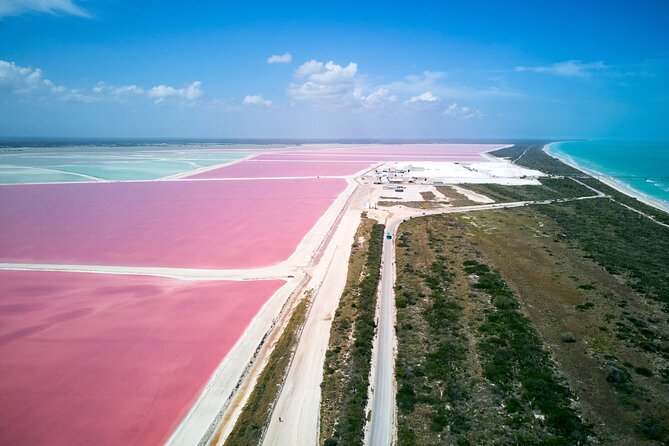 Las Coloradas Pink Lake & Rio Lagartos Guided Tour - Rio Lagartos brings the wildlife