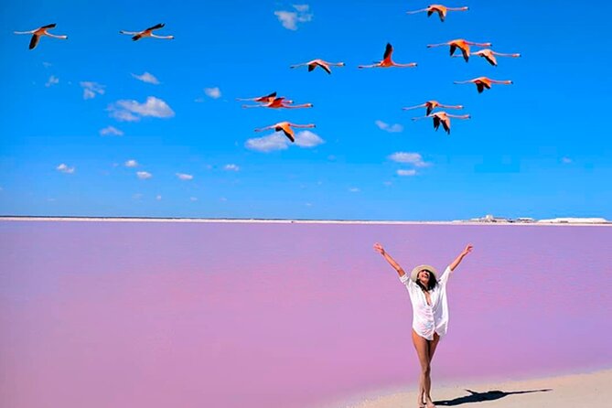 Las Coloradas Pink Lakes & Río Lagartos Wildlife Tour - Río Lagartos by boat, with birds and crocodiles