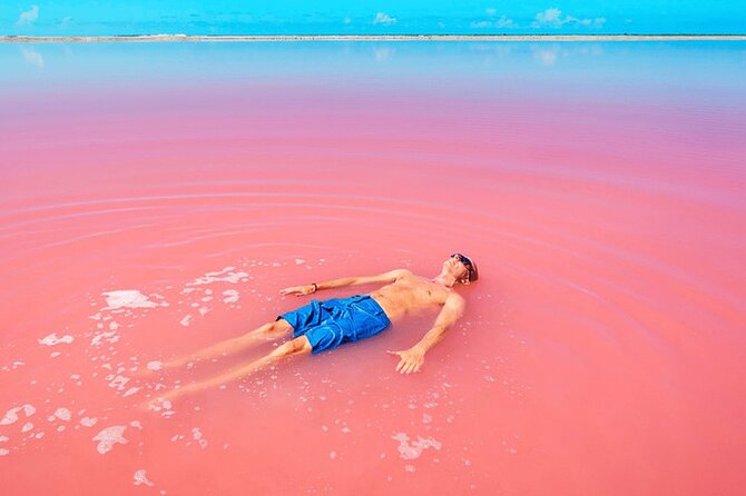 Las Coloradas Pink Lakes & Río Lagartos Wildlife Tour - The Cancun pickup can make or break the day