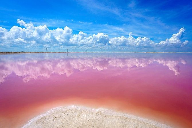 Las Coloradas Pink Lakes & Río Lagartos Wildlife Tour - The guides matter on a long group excursion