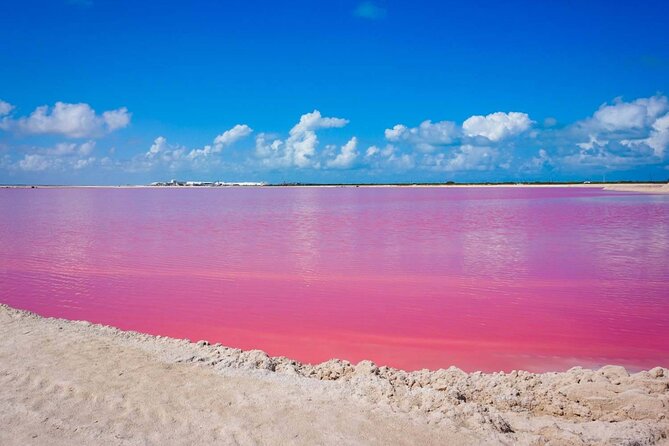Las Coloradas, Río Lagartos and Playa Cancunito Tour from Mérida - Key points at a glance