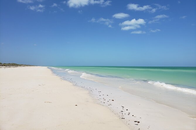 Las Coloradas, Río Lagartos and Playa Cancunito Tour from Mérida - The Río Lagartos boat ride is the real highlight