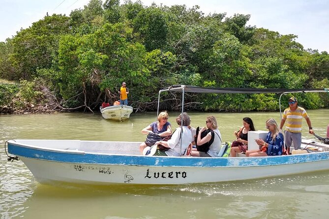 Las Coloradas Tour! Boat Ride, Lunch & Rio Lagartos from Cancun - Guide quality and the shared-tour tradeoff