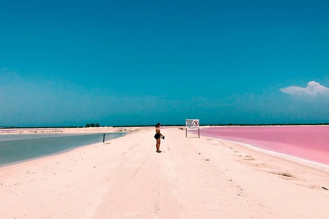 Las Coloradas Tour! Boat Ride, Lunch & Rio Lagartos from Cancun - Is the value right for you?