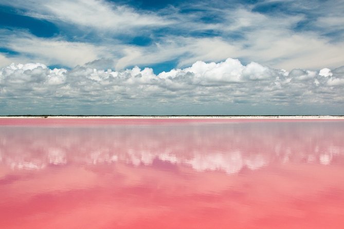 Las Coloradas Tour from Cancun and Playa del Carmen - Las Coloradas and the science behind the pink ponds