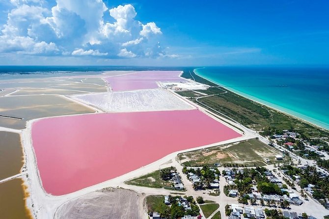 Las Coloradas Tour from Cancun and Playa del Carmen - The guides can shape the whole experience