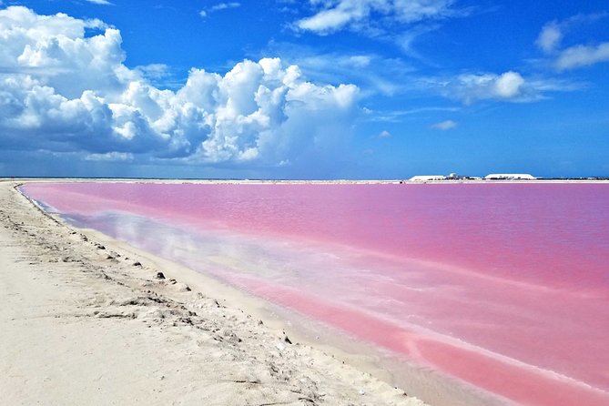 Las Coloradas Tour from Cancun and Playa del Carmen - Is $151 a fair price?
