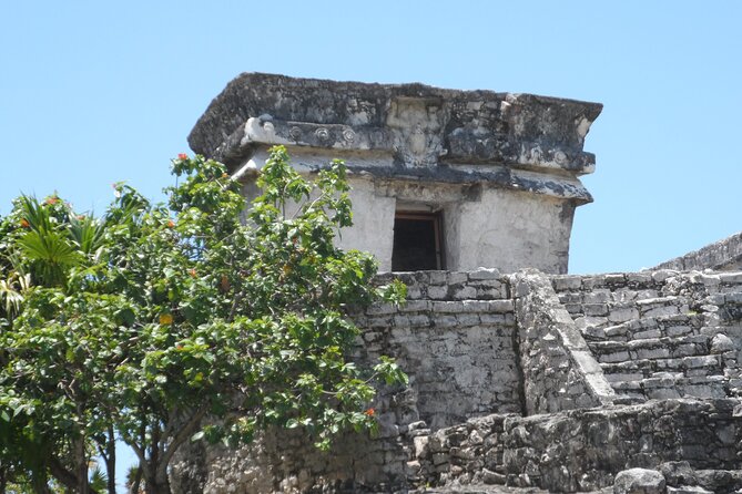 LDS Tour to Tulum Ruins + Cenote - Gran Cenote for one hour of freshwater swimming