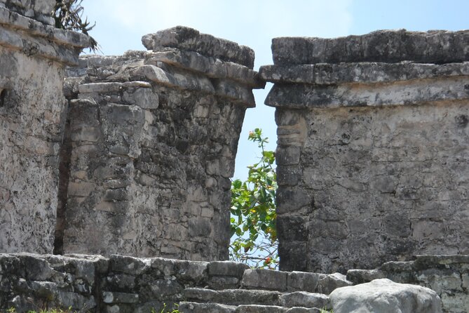 LDS Tour to Tulum Ruins + Cenote - Practical planning for families and older visitors