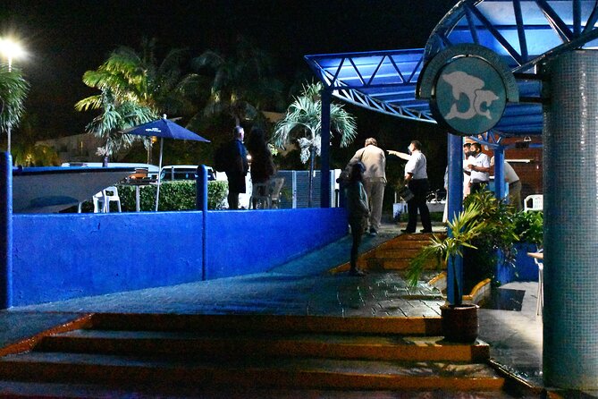 Live a Romantic Night Cruise Dinner at COLUMBUS (open bar included) - The boat, group size, and comfort
