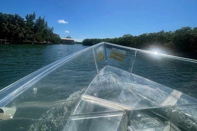 Live Cancun from our Transparent Boat - Who will enjoy this boat trip most