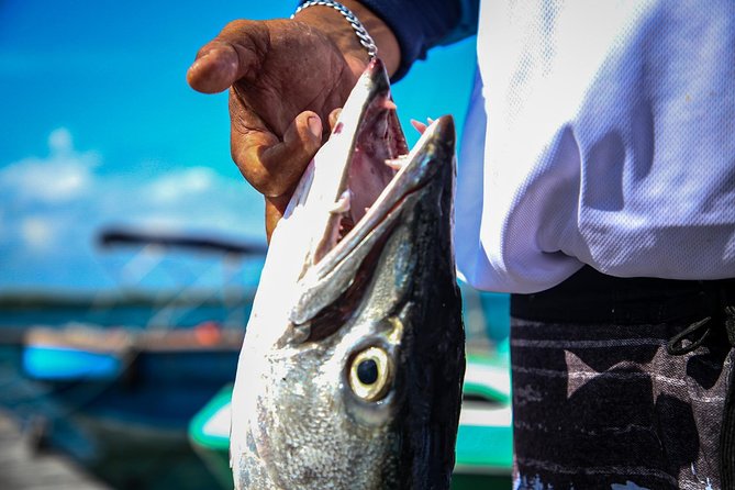 Local Fishing Plus Snorkeling Tour in Isla Mujeres - A fishing morning built for mixed-skill groups