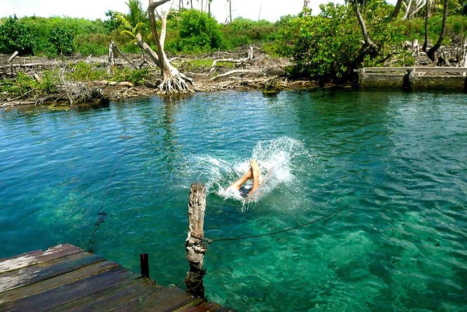 Magic Island Holbox! Experience From Cancun & Playa del Carmen - Isla de la Pasión and its mangrove setting