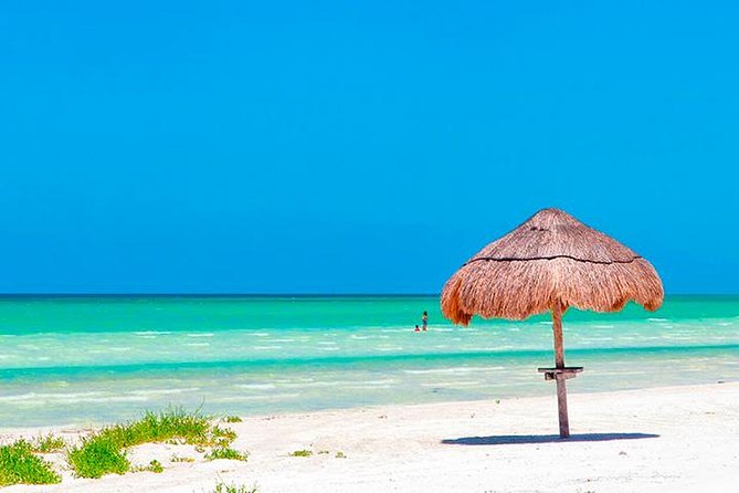 Magic Island Holbox! Experience From Cancun & Playa del Carmen - Weather, comfort, and the return ride
