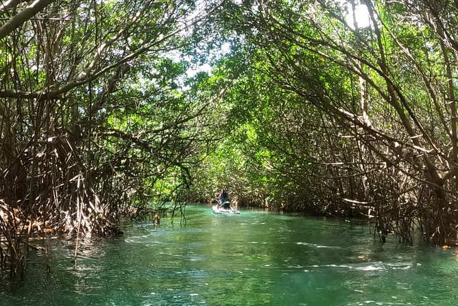 Mangrove and Lagoon Speed Boat Tour - How long the two-hour route feels