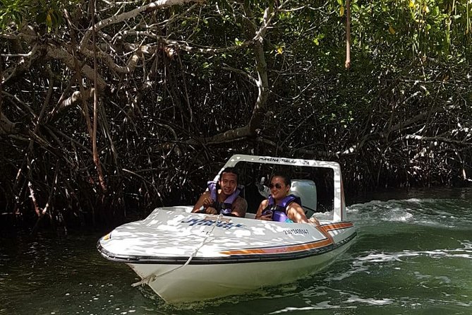 Mangrove and Lagoon Speed Boat Tour - Weather and cancellation rules