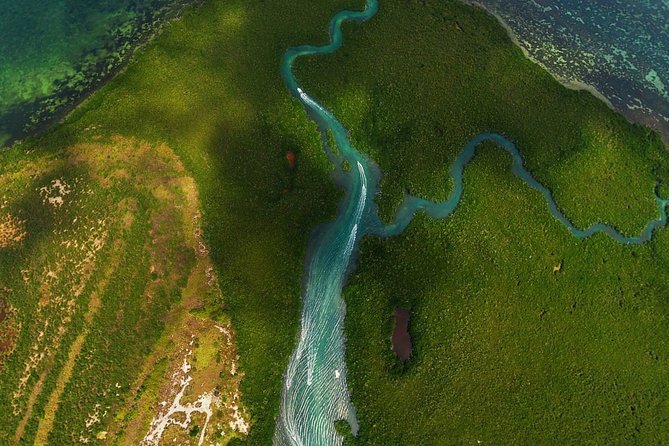 Mangrove and Lagoon Speed Boat Tour - Following the mangrove canals