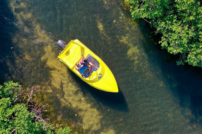 Mangrove Jungle Speedboat Experience - What the $49 price includes, and what it does not
