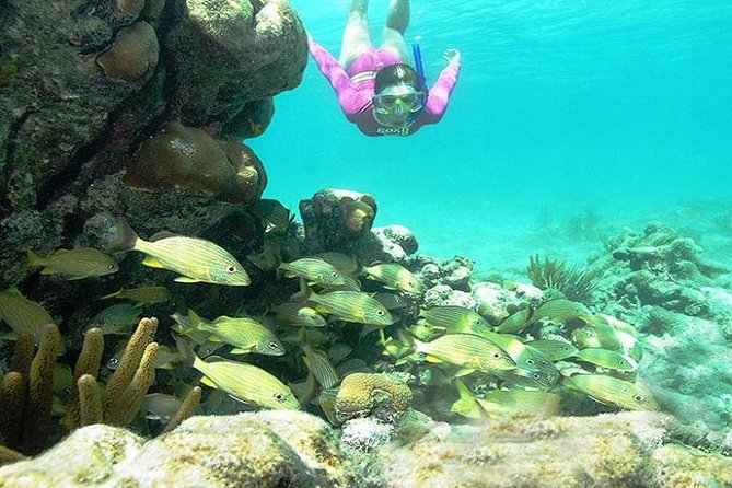 Mayan Adventure from Cancun - Swimming through caves and limestone