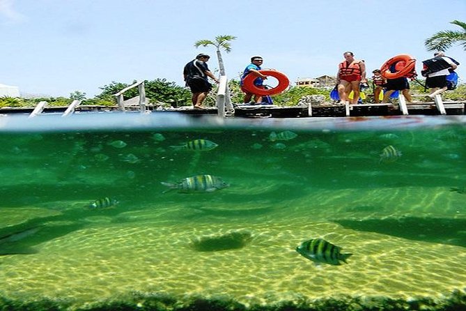 Mayan Adventure from Playa del Carmen - What the guide adds to the day