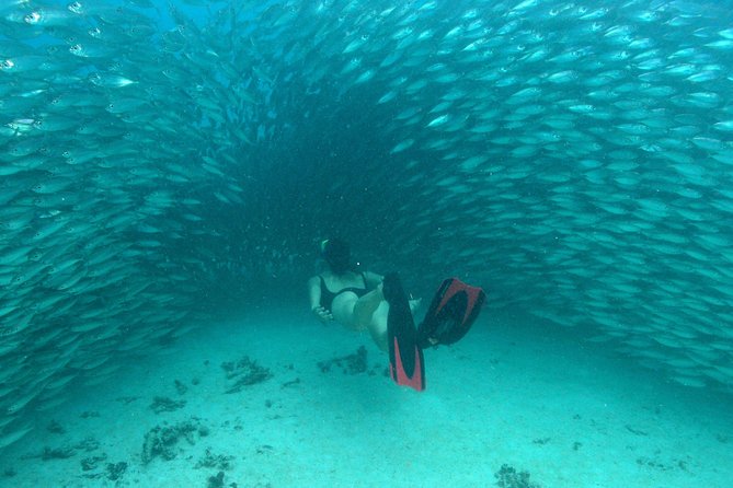 Mayan Adventure from Playa del Carmen - The reef stop: tropical fish and a proper gear briefing