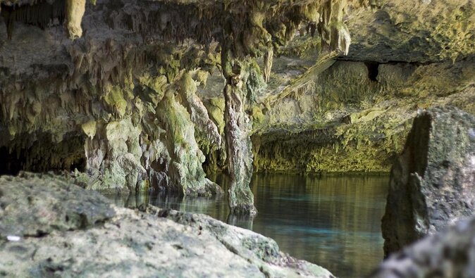 Mayan Ceremonial Night: Temazcal, Cenote Swim and Dinner from Playa del Carmen - A Maya evening that combines heat, water, and food