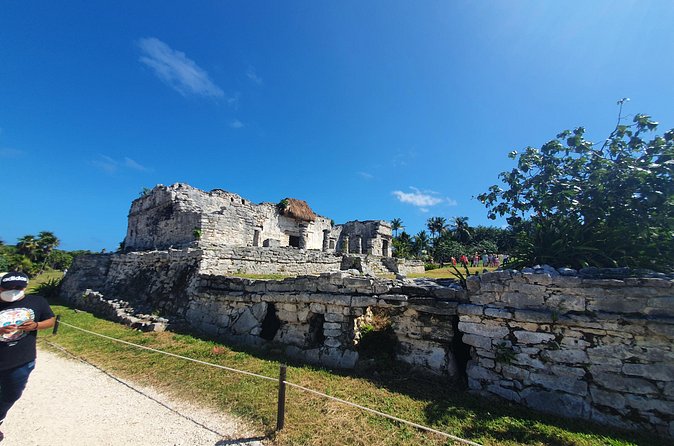 Mayan Riviera Tulum Coba 5x1 Adventure With Lunch - Coba, where jungle covers the ruins