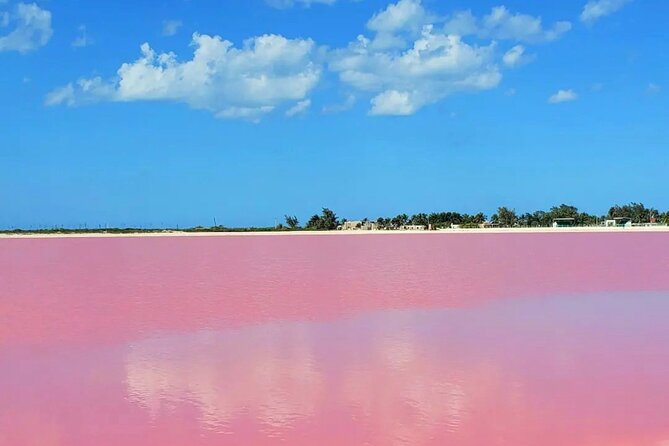 Mérida: Las Coloradas and Río Lagartos with Boat Tour and Lunch - The long road from Mérida to the coast