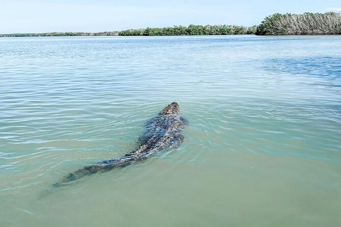 Mérida: Las Coloradas and Río Lagartos with Boat Tour and Lunch - Cancunito gives you a cool-water pause
