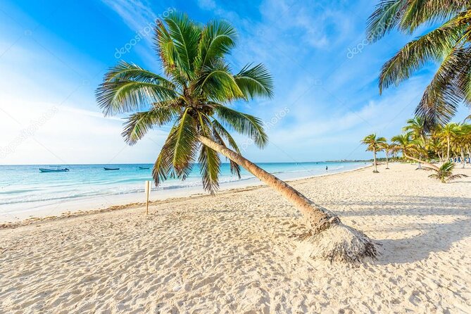 Mother Nature, Tulum and beach paradise with lunch - Playa Paraíso and the Caribbean coast