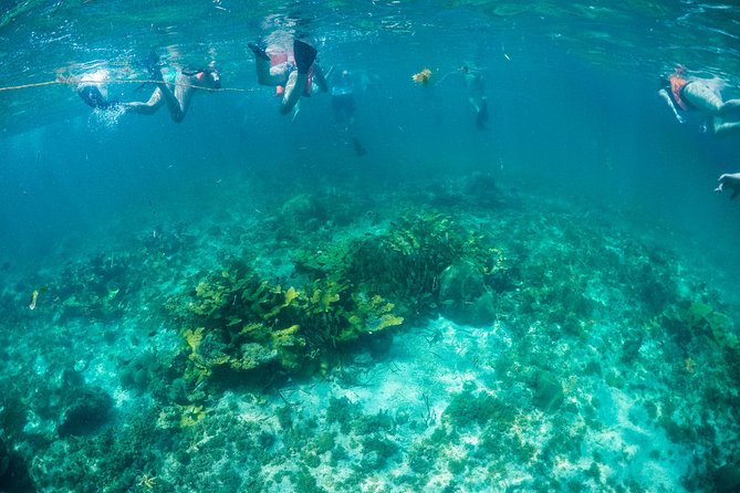 Mujeres Island Tour by Catamaran from Cancun City - What the crew adds to the day