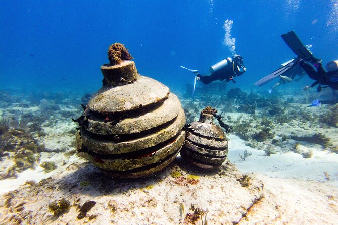 MUSA Museum and Colorful Reef 2 Tank Dive-Certified Divers - What the two-tank plan adds