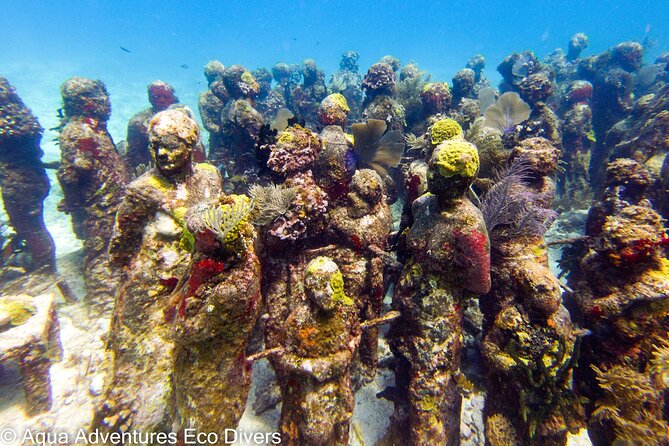 MUSA Museum and Colorful Reef 2 Tank Dive-Certified Divers - Meeting in central Isla Mujeres