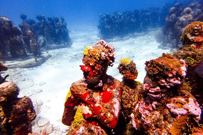 MUSA Museum and Colorful Reef 2 Tank Dive-Certified Divers - What is included, and where the price can shift