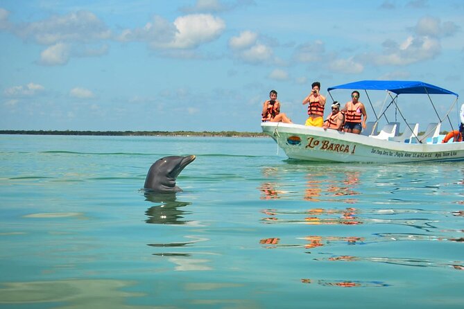 Natural Reserve of Sian Ka'an Tour ! - The early pickup from Cancun and the Riviera Maya