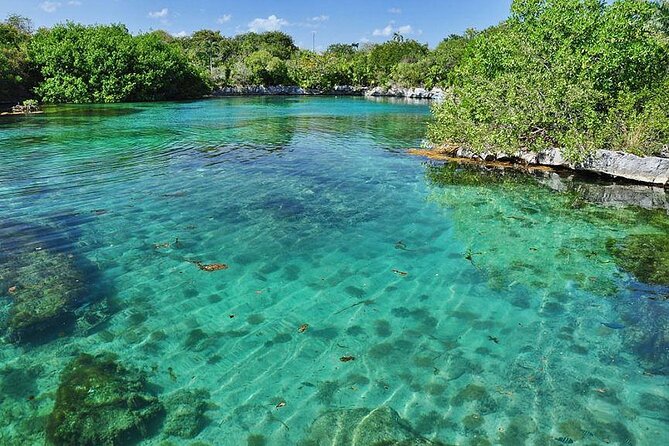 Natural Reserve of Sian Ka'an Tour ! - Wildlife watching without a guarantee