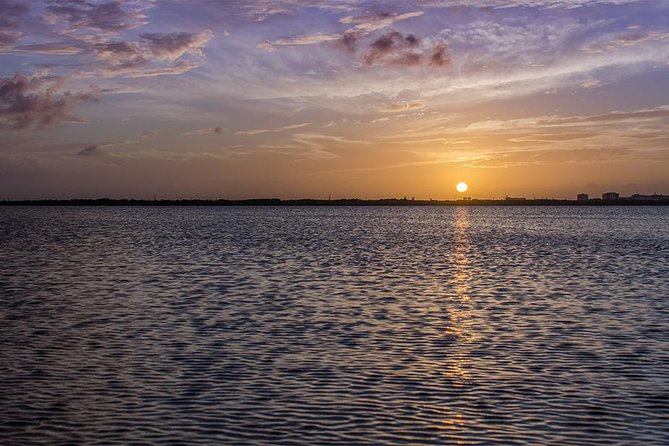Nichupte Lagoon Wildlife Tour - What is included for $95