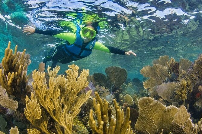 Nizuc Reef Snorkel Experience - Gear, drinks, lockers, and showers