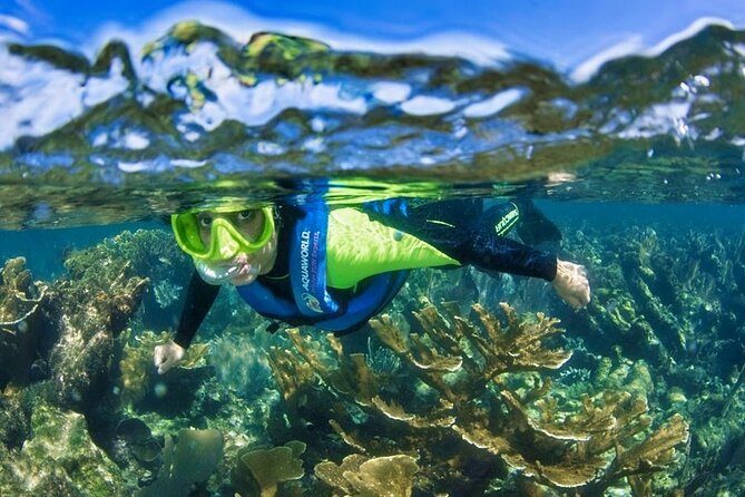 Nizuc Reef Snorkel Experience - What the open-sea platform is like