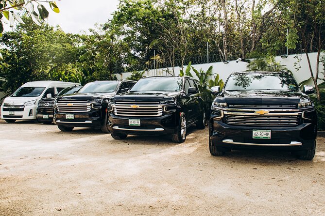 One Way Private Transfer Cancun Int Airport - Playa del Carmen - Leaving Cancun Airport Without the Taxi Hunt