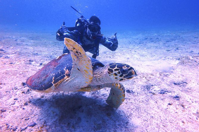 Open Water Certification Course-PADI - What the instruction is really like